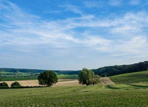 Gemeente Berg en Dal