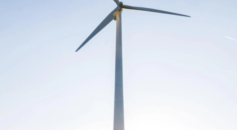 Wat betekent de nieuwe Energiewet voor jouw bedrijf?